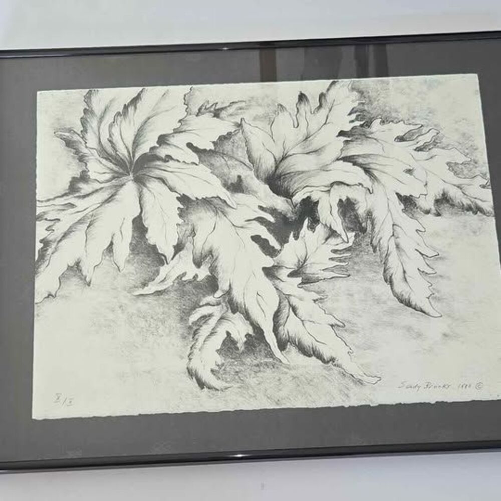 Sandy Brooks ASU Artist 1988 Nature Charcoal Original